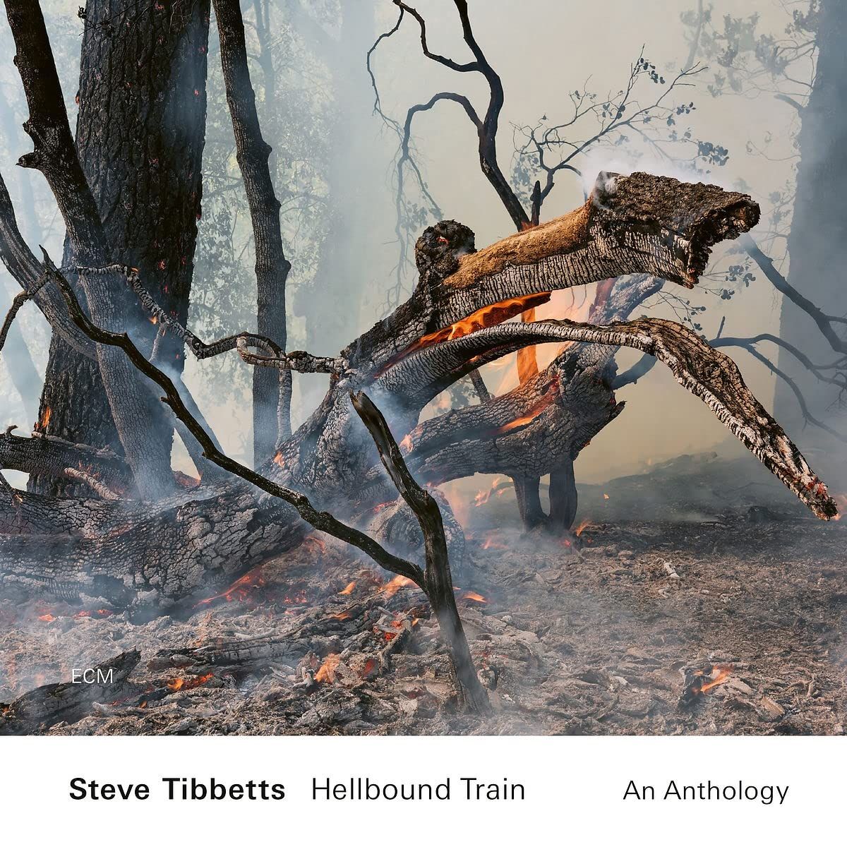 Hellbound Train: An Anthology (CD)