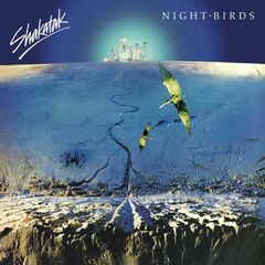 Night Birds [Gold Vinyl] (LP)