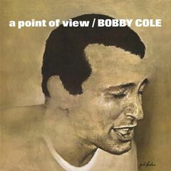 A Point Of View (CD)