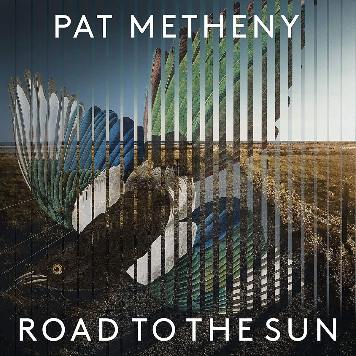 Road To The Sun [Deluxe Edition] (LP)