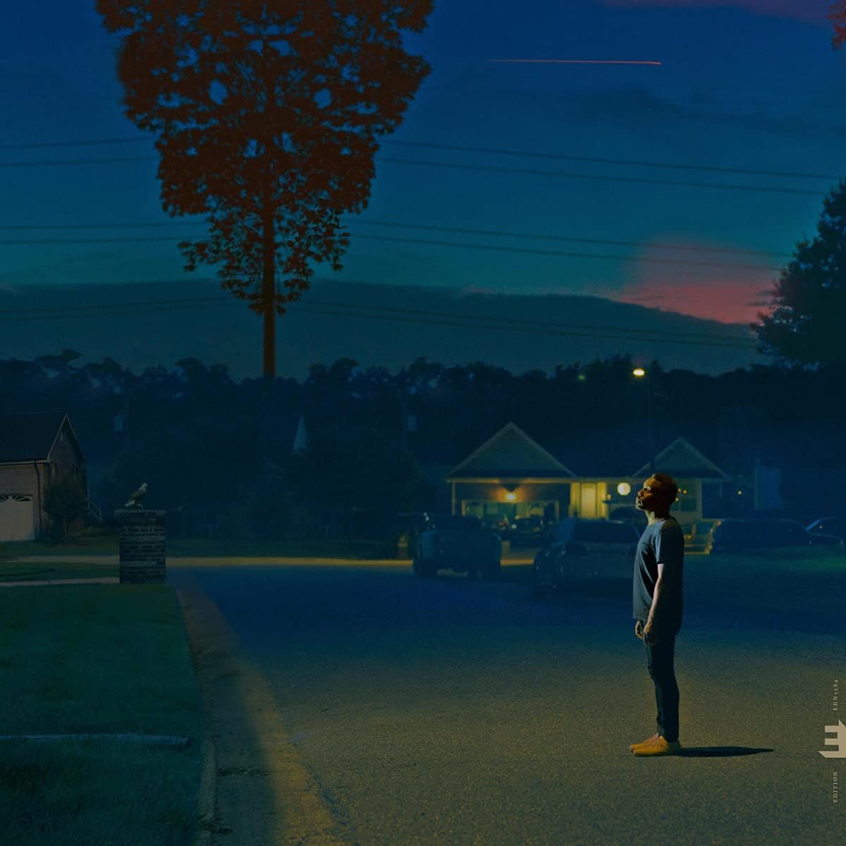 Kinfolk 2: See The Birds (LP)