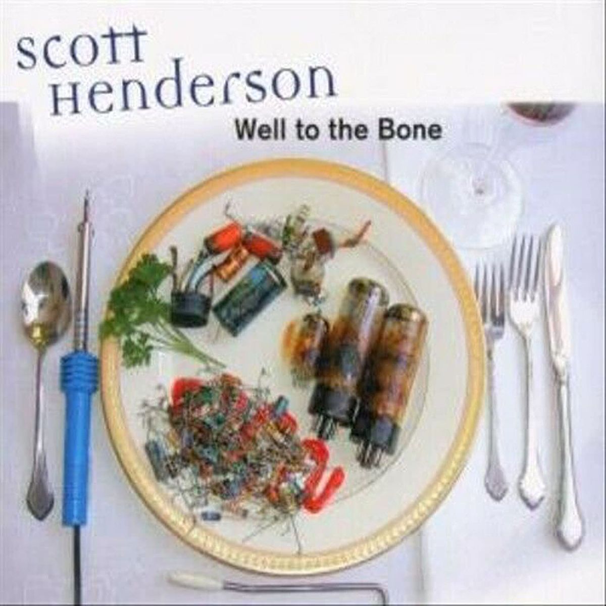 Well To The Bone (CD)