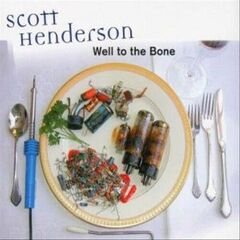Well To The Bone (CD)