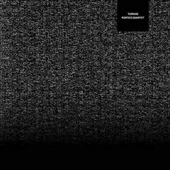 Terrain (LP)