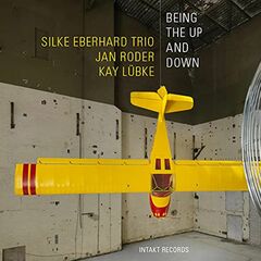 Being The Up And Down (CD)