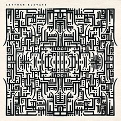 Elevate [Red Picture Disc] (LP)
