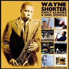 Early Albums & Rare Grooves (CD)