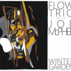 Winter Garden (CD)