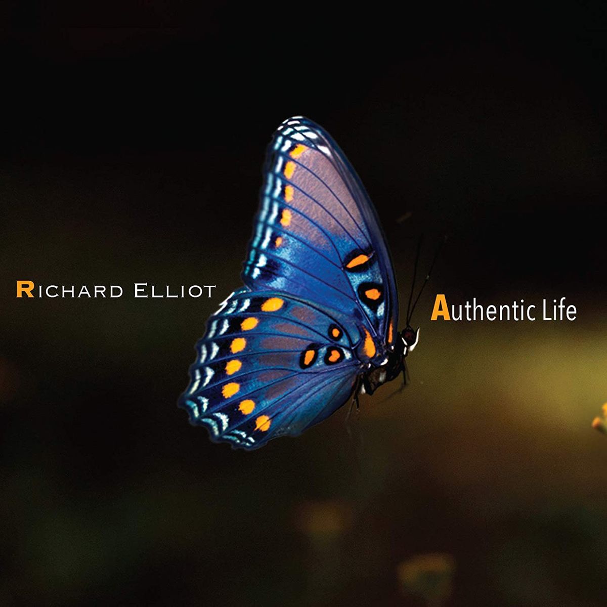 Authentic Life (CD)