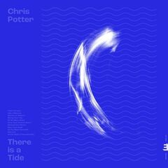There Is A Tide (LP)