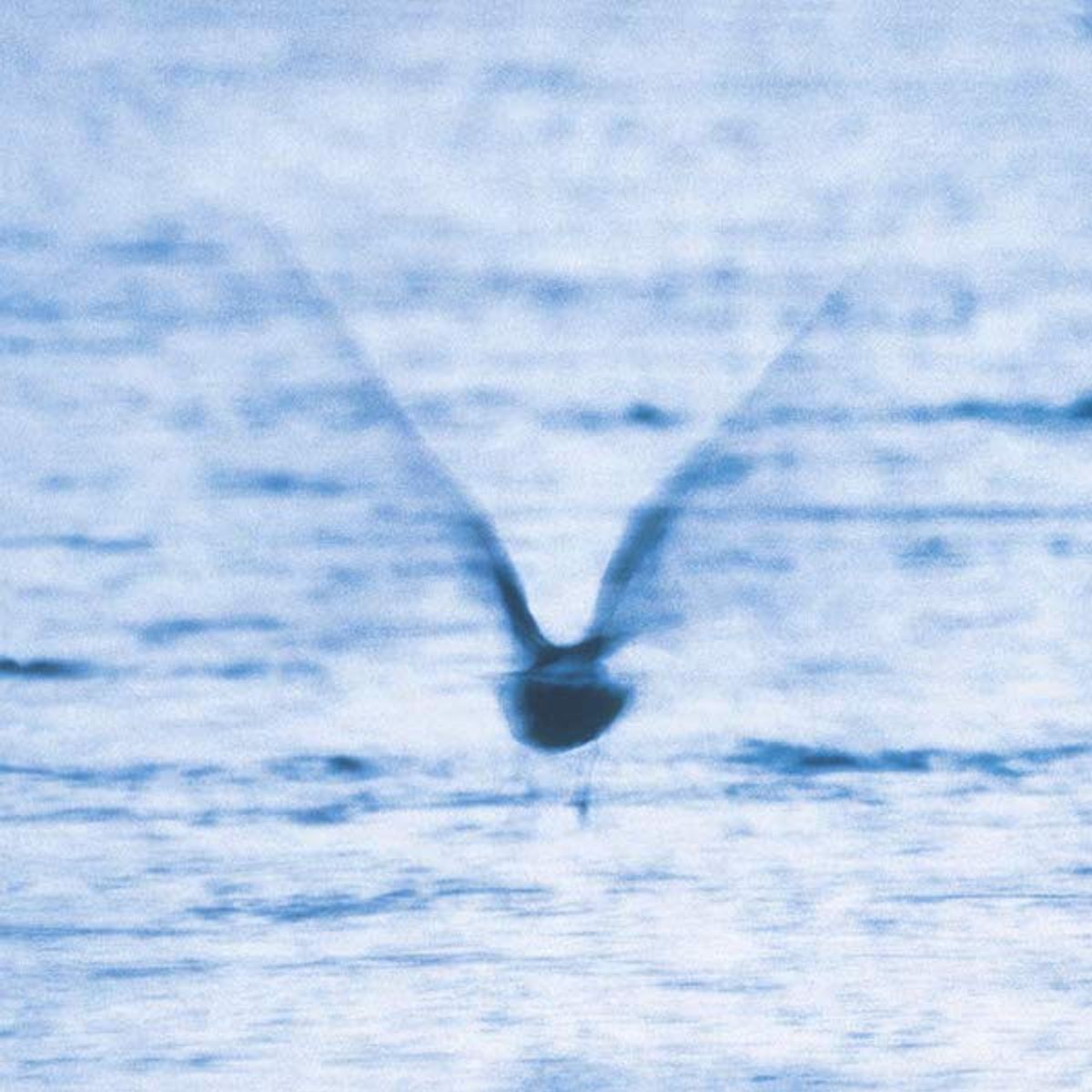 Mellow Dream (LP)