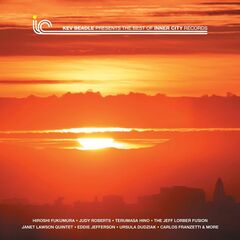 Kev Beadle Presents The Best Of Inner City Records [UK Issue] (LP)