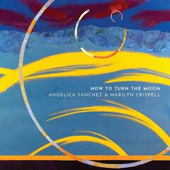 How To Turn The Moon (CD)
