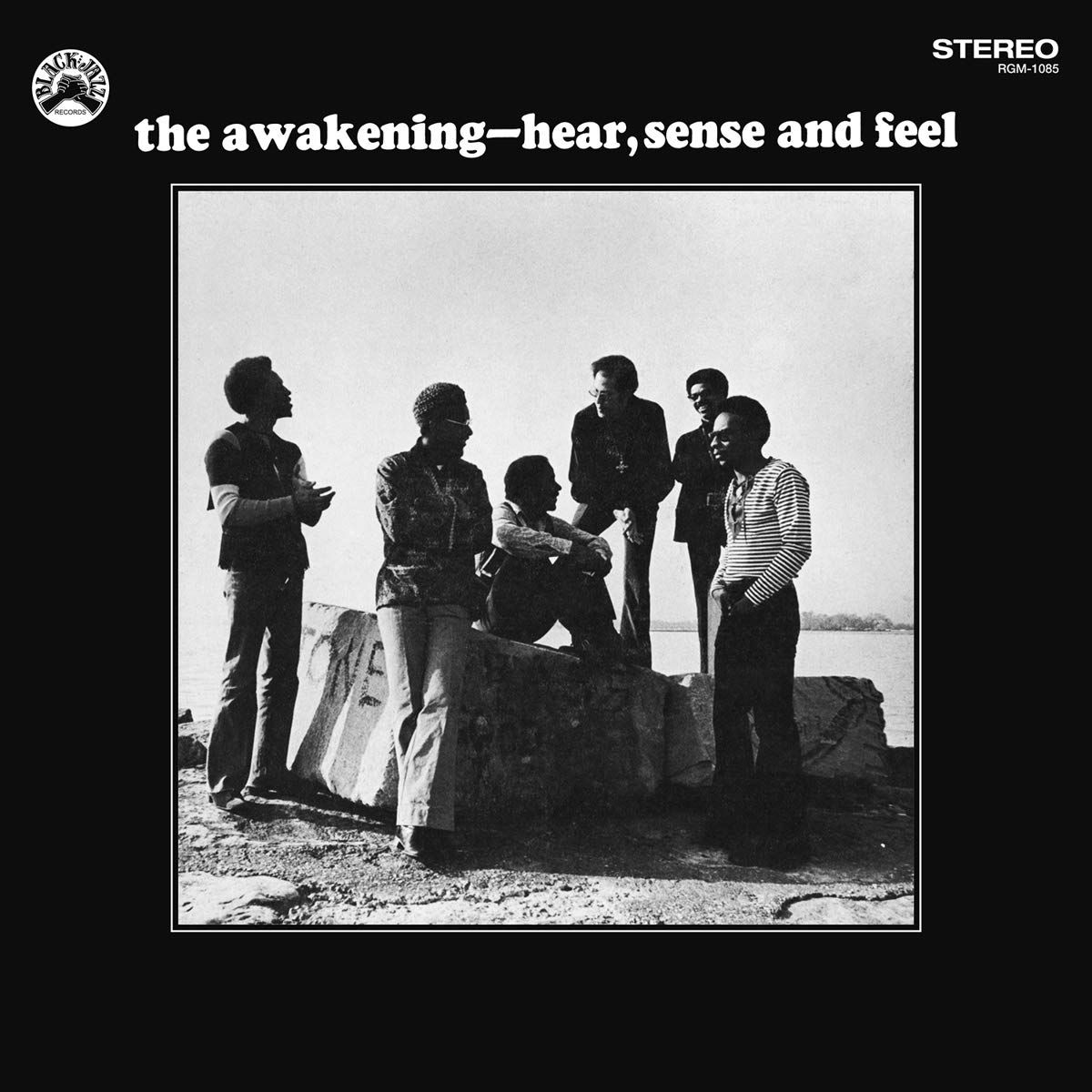 Hear, Sense & Feel (LP)