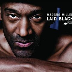 Laid Black (CD)