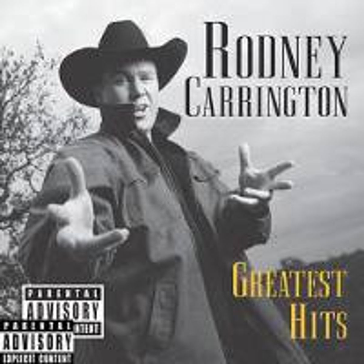Greatest Hits (CD)