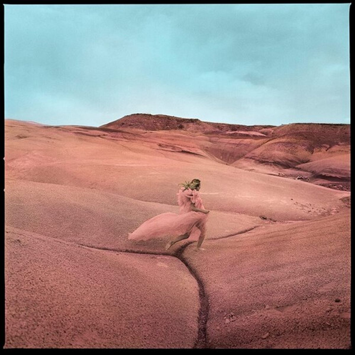 Strays (LP)