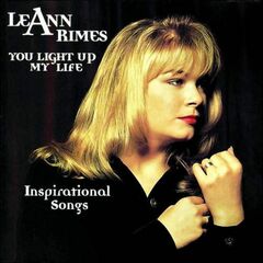 You Light Up My Life (CD)