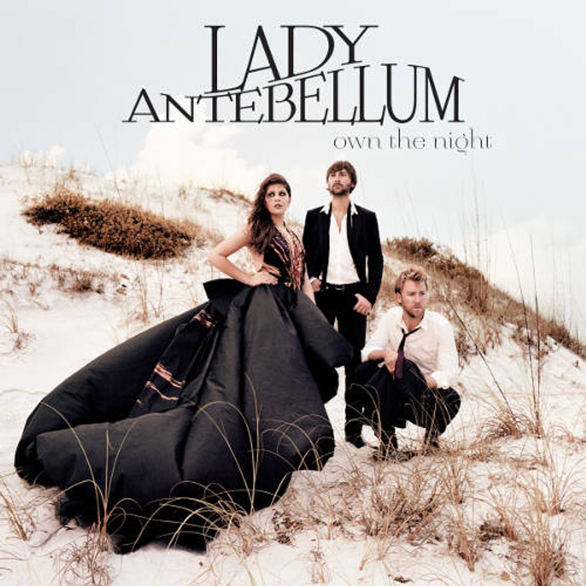 Own The Night (CD)