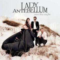 Own The Night (CD)