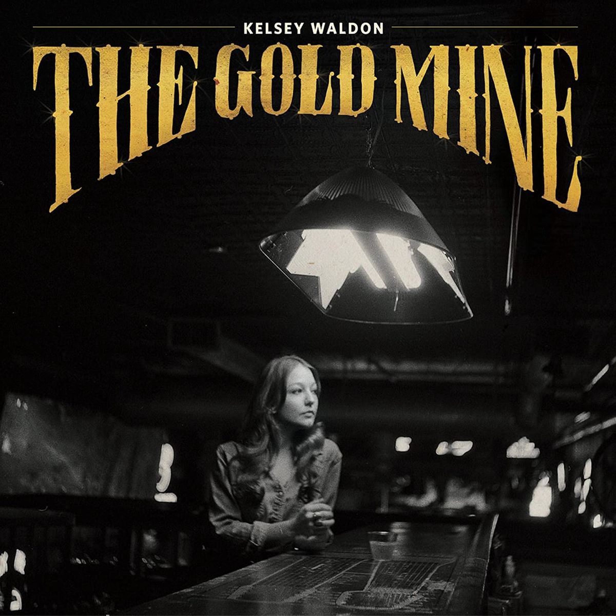 The Gold Mine (LP)