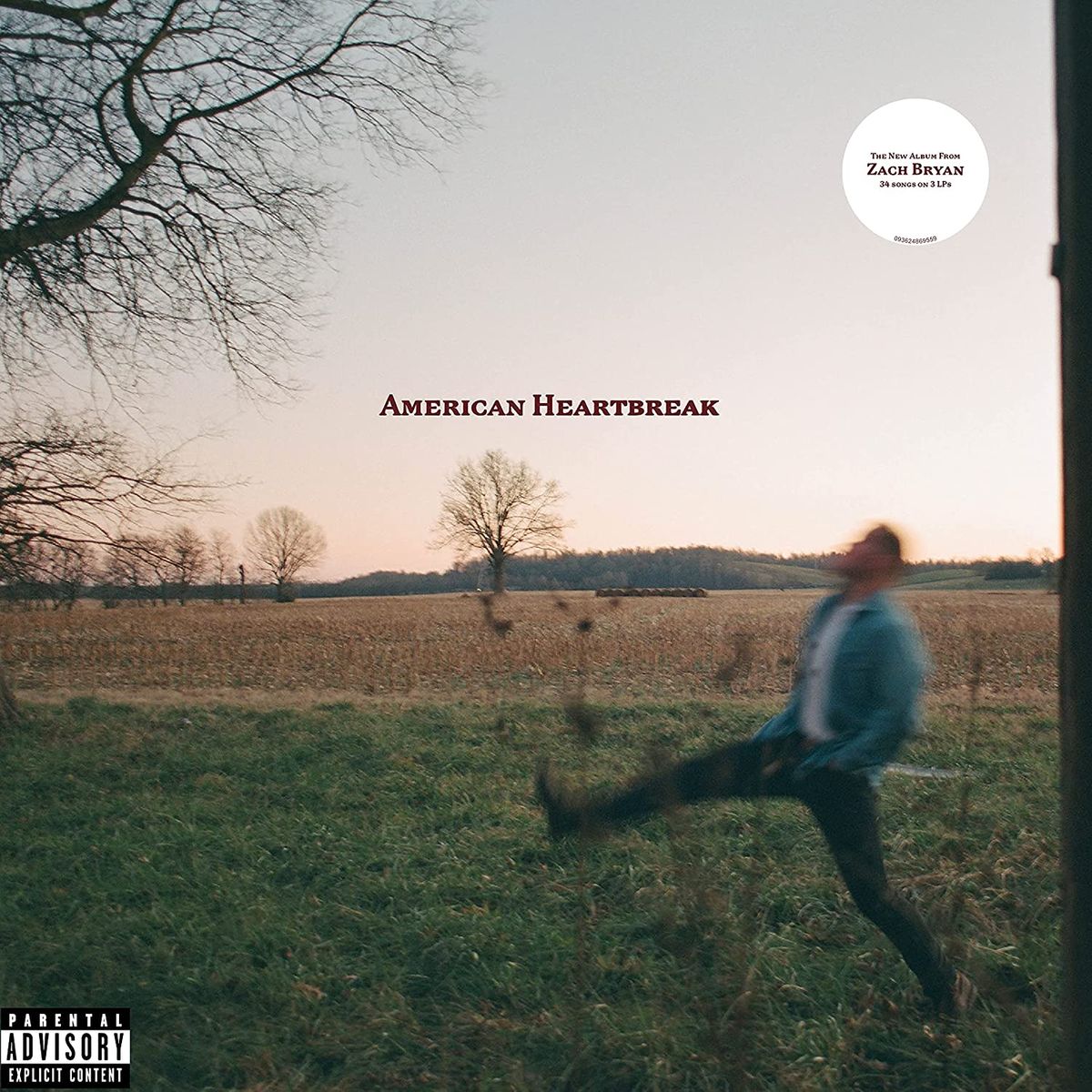 American Heartbreak (CD) [Explicit]