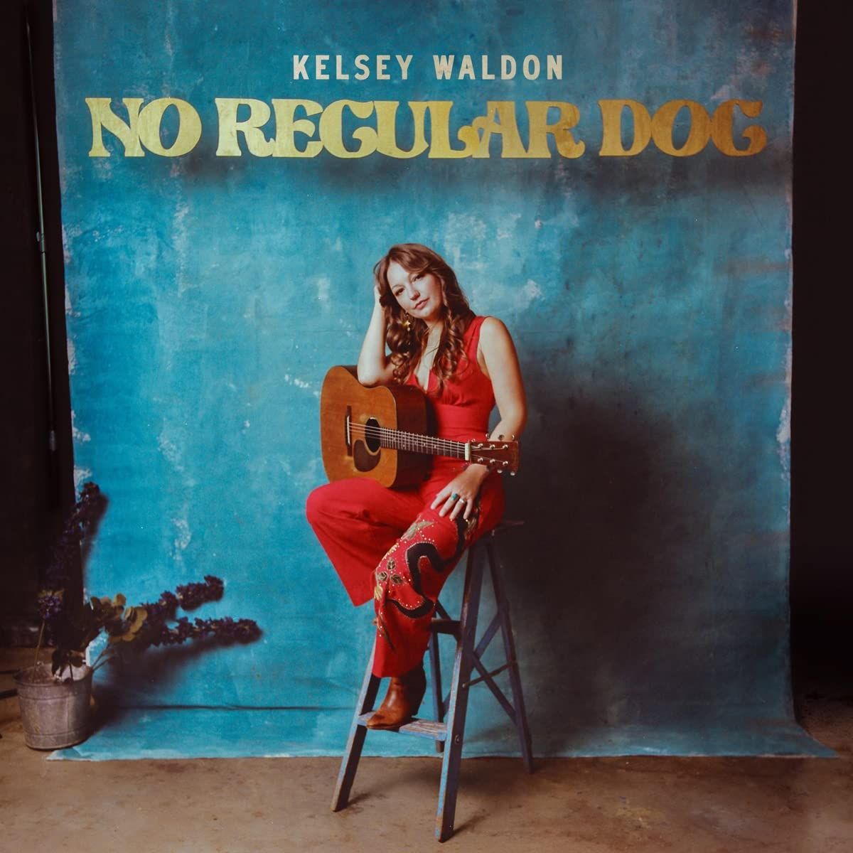 No Regular Dog (LP)