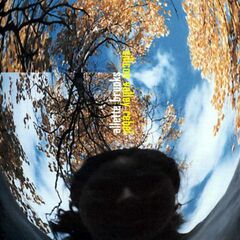 Silicon Valley Rebel (CD)