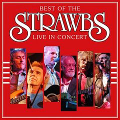 Best Of The Strawbs: Live In Concert (LP)