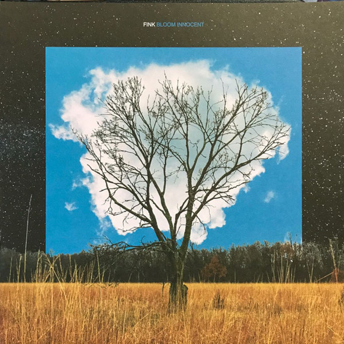 Bloom Innocent (LP)
