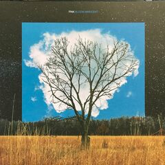 Bloom Innocent (LP)
