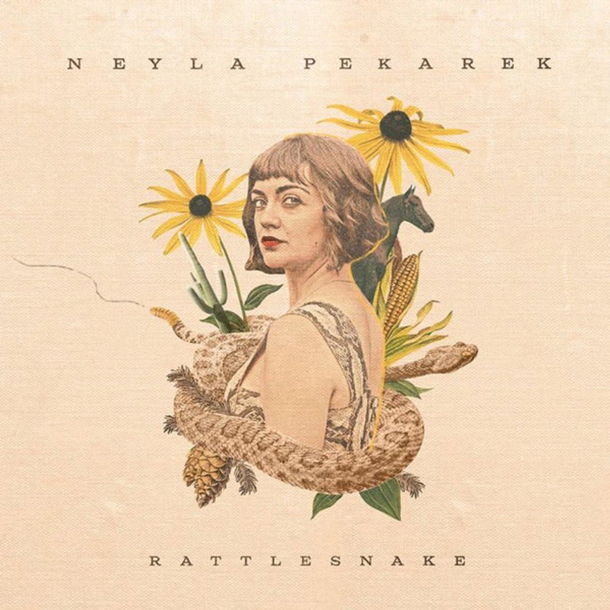 Rattlesnake (LP)