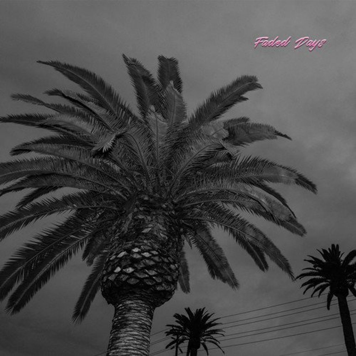 Faded Days (LP)