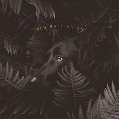 Where The Dogs Don't Bite (LP)