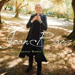 Whistle Down The Wind (CD)
