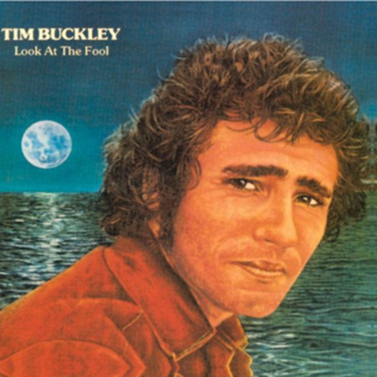 Look At The Fool (CD)