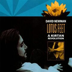 Lotus Feet: A Kirtan Revolution (CD)