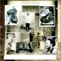 Family Groove (CD)