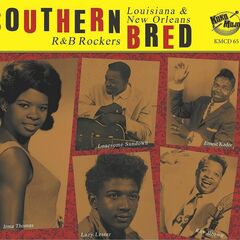 Southern Bred Vol. 15: Louisiana & New Orleans R&B Rockers (CD)
