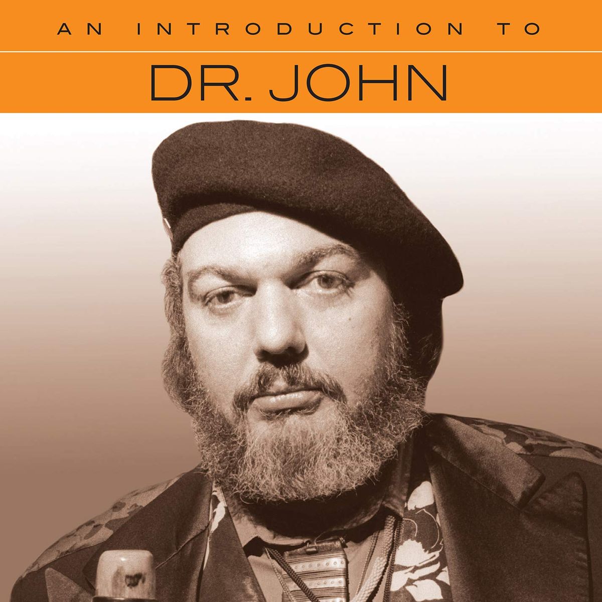 An Introduction To Dr. John (CD)