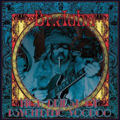 High Priest Of Psychedelic Voodoo (CD)