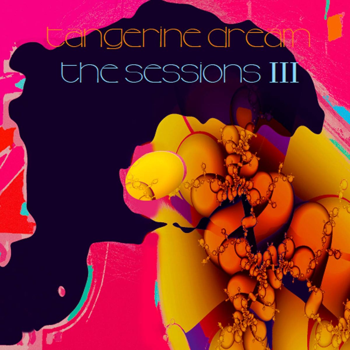 The Sessions III (LP)