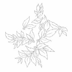 Momenta Quintae Essentiae (CD)
