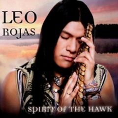 Spirit Of The Hawk (CD)