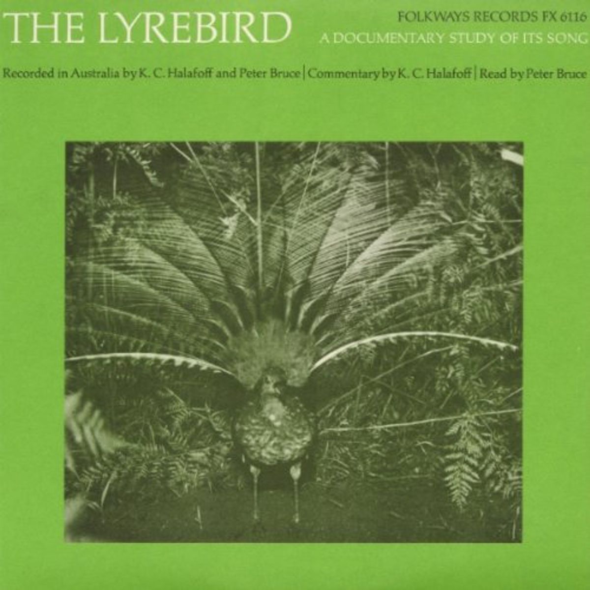 Lyrebird: A Documentary Study (CD)