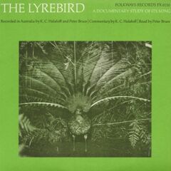 Lyrebird: A Documentary Study (CD)