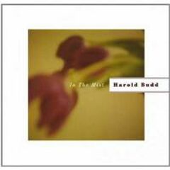 In The Mist (CD)