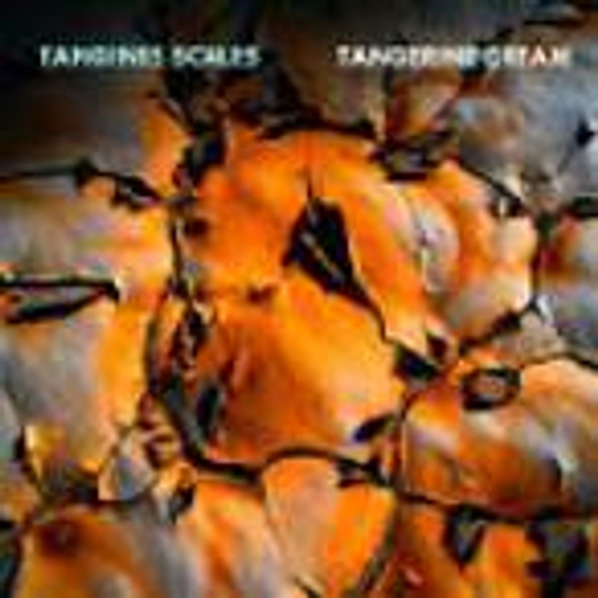 Tangines Scales (CD)