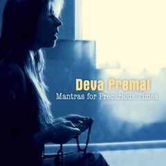 Mantras For Precarious Times (CD)