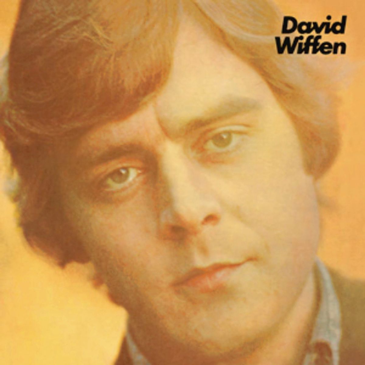 David Wiffen (LP)